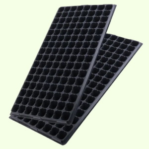 Alvéole 128 trous pour semis pépinière