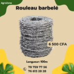 Rouleau Barbelé 100m