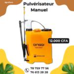 Pulvérisateur Manuel DINGQI 16L