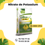 Sac de Nitrate de Potasse 25kg