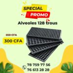 Alvéole 128trous pour pépinière