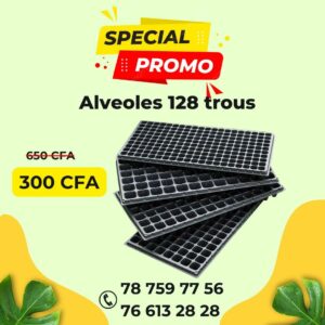 Alvéole 128trous pour pépinière