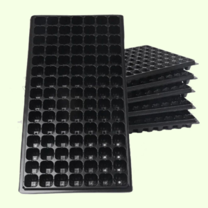 Alvéole 105 trous pour semis pépinière