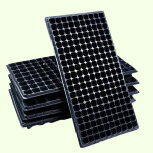 Alvéole 200 trous pour semis pépinière
